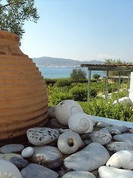 Niriides Selinitsa