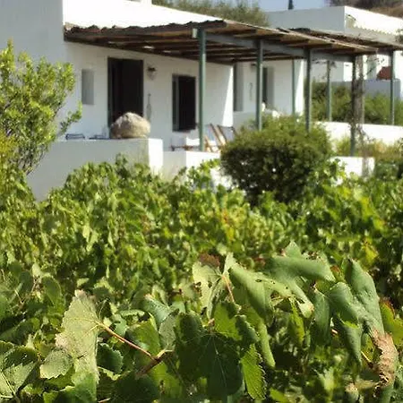 Niriides Selinitsa