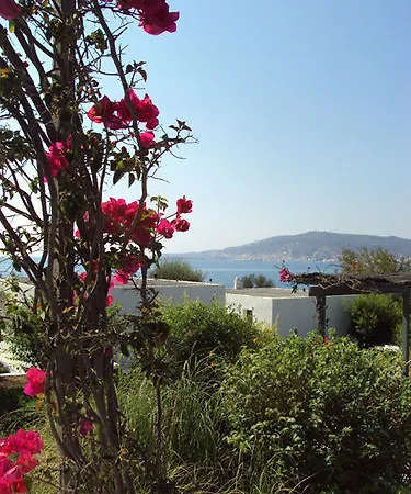 Hotel Niriides Selinitsa